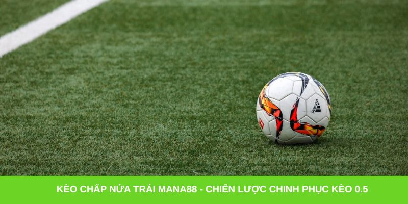 Kèo chấp nửa trái Mana88 - Chiến lược chinh phục kèo 0.5